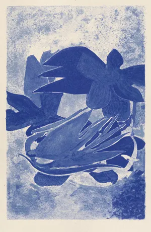Paulhan, Jean i Braque, Georges - Illustr. – Les paroles transparentes