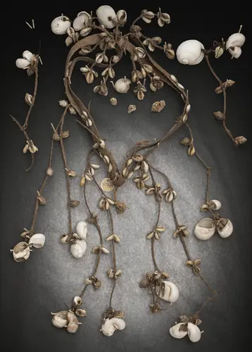 Harnais avec décor de coquillages