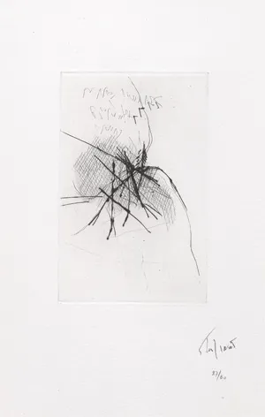 Peyré, Yves a Tal-Coat, Pierre - Ilustr. – Le lointain foyer du jour