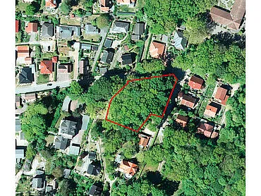 Wald – Lietzow / Insel Rügen