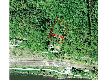 Wald – Lietzow / Insel Rügen