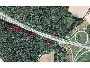 Waldflächen (10.296 m²) – Zurow