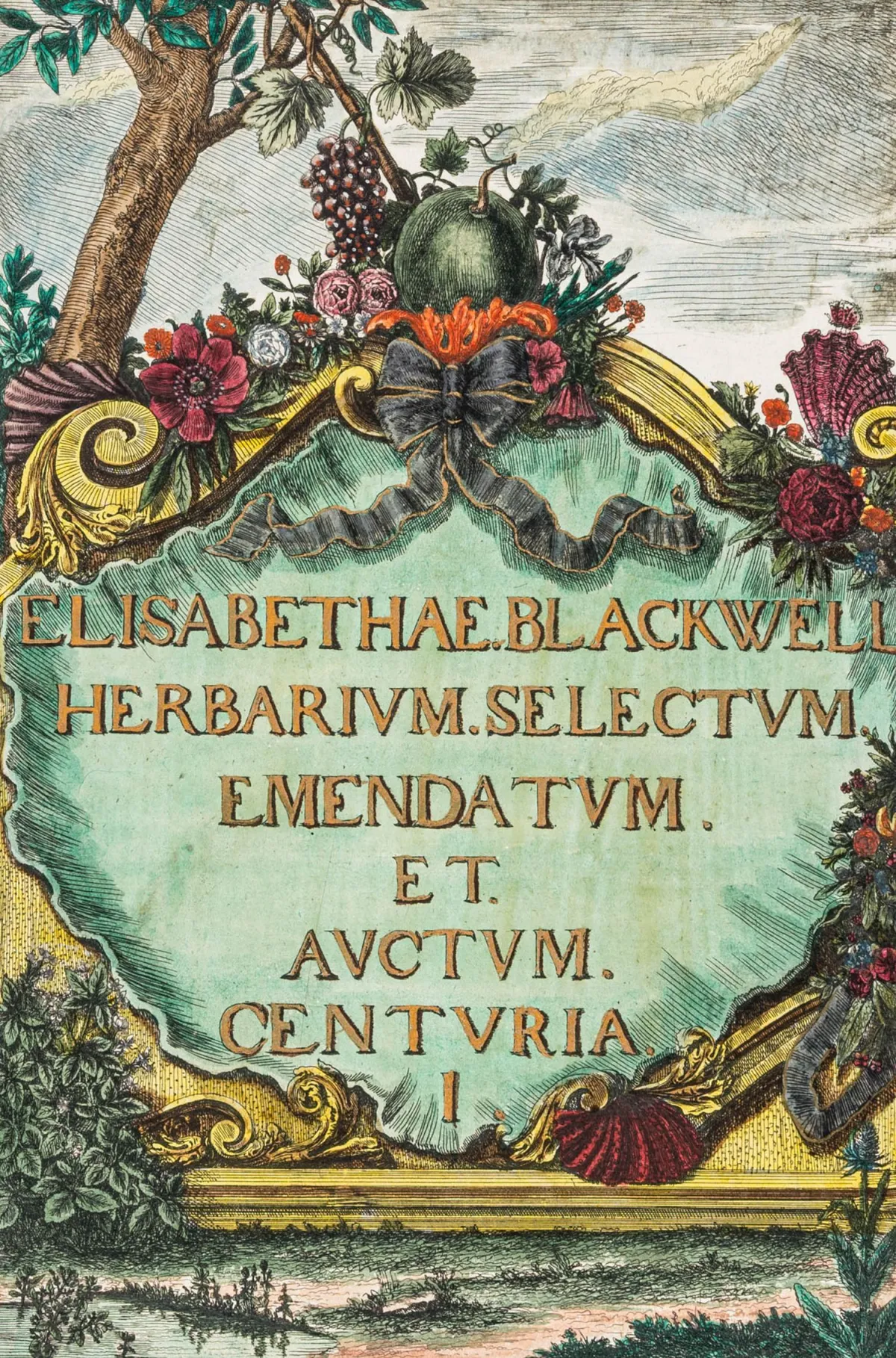 Biologija - botanika – Blackwell, Elisabeth. Herbarium Blackwellianum emendatum et auctum. Prošireni i poboljšani Blackwellov biljni priručnik…