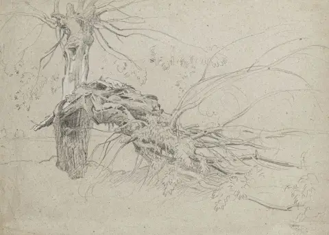 Metz, César – Alte Weide. Bleistift auf Papier. Links unten signiert, datiert und betitelt. 1850. Blattmaße: 37 x 51 cm. Unter…