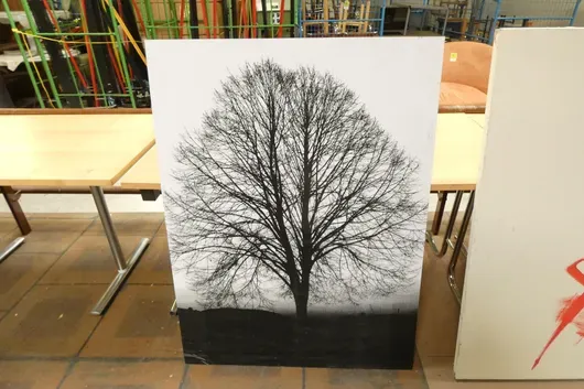 Fotografia czarno-biała