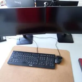 2 24" monitors Fabr.: Terra