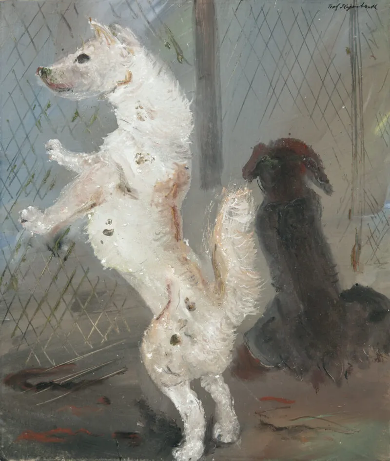 Hegenbarth, Josef – Spitz