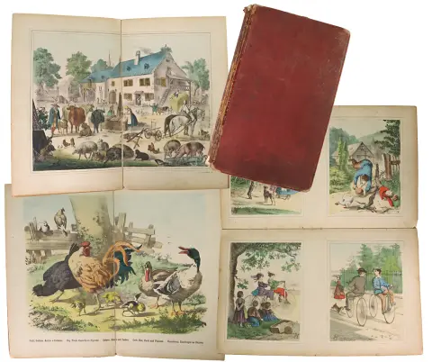 Planche d'images, Scholz