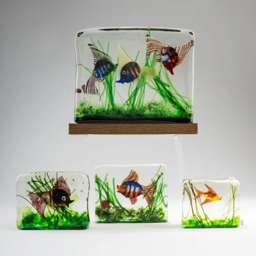 Quatre aquariums, vers 1960