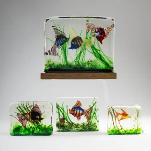 Quatre aquariums, vers 1960