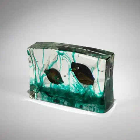 Aquarium, vers 1960