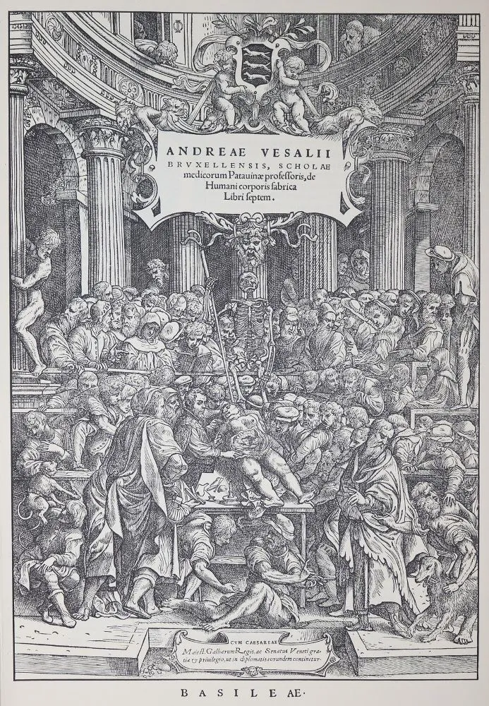 Vesalius,A. – De humani corporis fabrica
