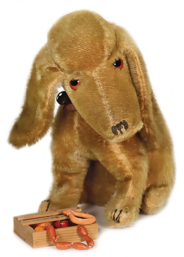 Typ Treff, zittende hond met melancholieke uitdrukking