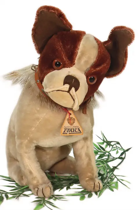 EDUCA – très beau bouledogue
