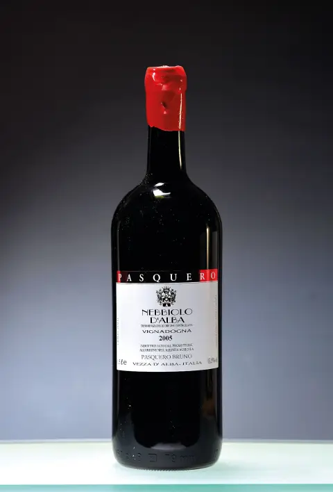 1 magnum 2005 Bruno Pasquero Vignadogna Nebbiolo d'Alba, Piémont, Italie, env.