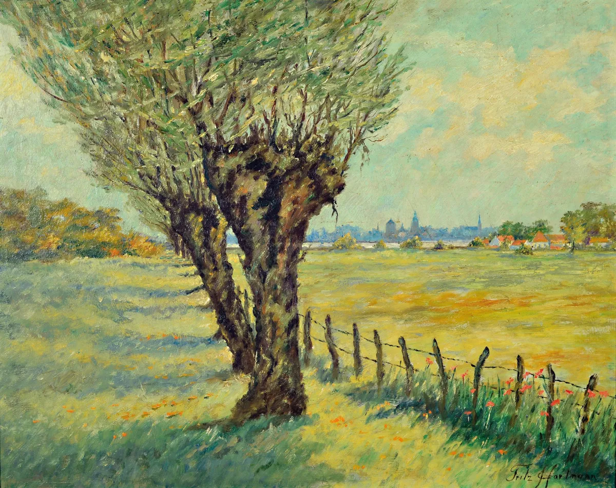Friedrich (Fritz) Hartmann, 1878 Düsseldorf-1961, pohled na vrby hlavaté
