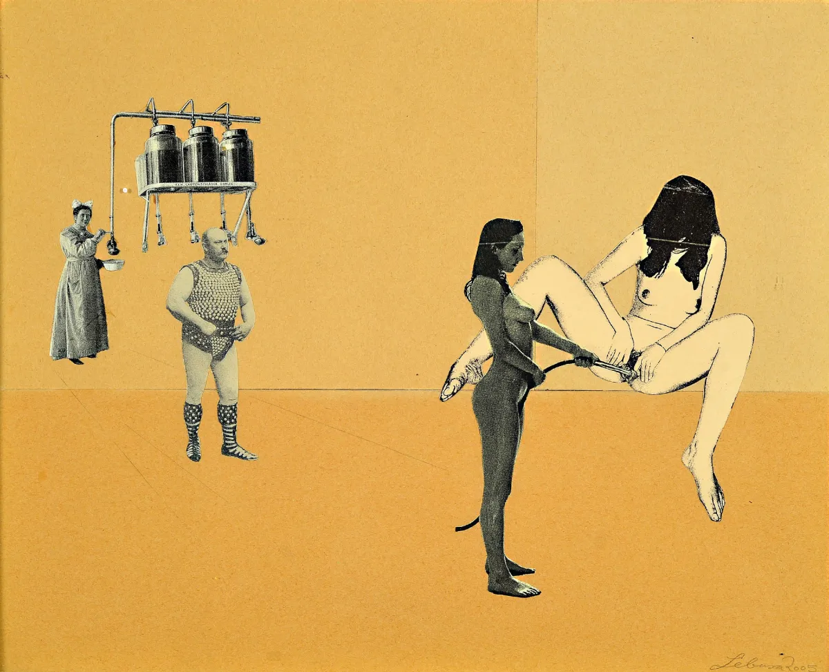 Corinne von Lebusa, geb. 1978 Herzberg, Albatroso, Mischtechnik auf Papier, re. u