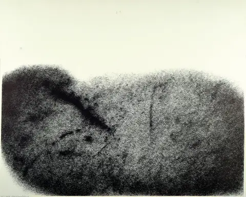 Werner Knaupp, 1936 Neurenberg-2025, 2 lithografieën, "Vernarbung" 1973, Ed. 88/100,