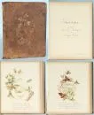 Gedenkbuch 1893 – betit. "Gedenkblätter gewidmet ihrem lieben Bräutigam von Josephine Viereck, Weihnachten 1893", 10 Seiten mit…