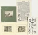 Kopergravures, 4 stuks en 1 houtsnede – verschillende formaten (grootste blad 41,5 x 27,5 cm), "Personen- en plantmotieven", o.a. van Merian en Schedel,…