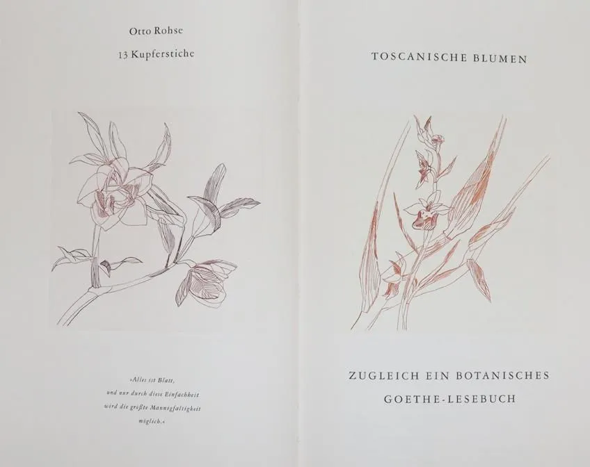 Rohse,O. – Fleurs toscanes