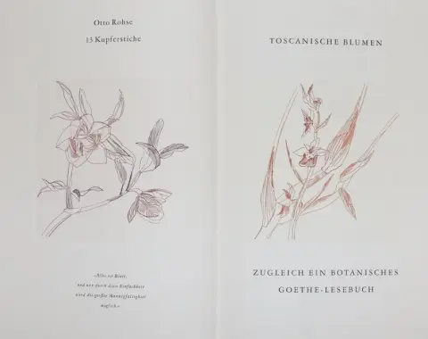 Rohse,O. – Fleurs toscanes