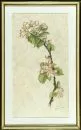 Gingele, Franz, 1898 - 1968 Füssen – Aquarelle/dessin au crayon, sur papier japon, 37 x 17 cm, "Apfelblüte", signé en bas à droite, R, réf. : Kühling