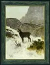 Berger, Georg, 1862 - 1942 – Olie/doek, 56 x 41 cm, "Gems in hooggebergte", gesigneerd linksonder, klein verstevigd deel, lit.: Vollmer, Artprice;