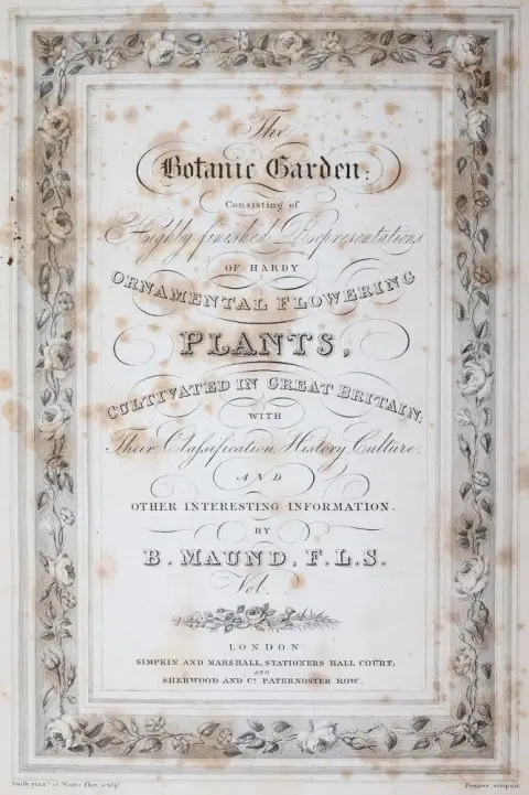 Curtis,W. – General Indexes to the Plants containing in the first twenty volumes of the Botanical Magazine