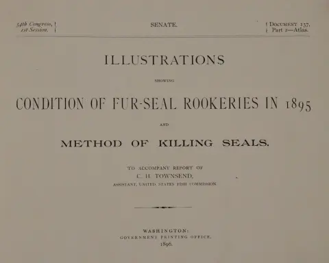 Townsend,C.H. – Illustrations showing condition of fur-seal rookeries in 1895 and method of killing seals