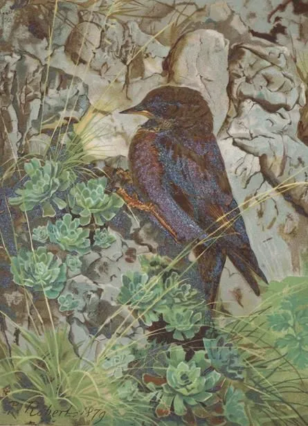 Robert,L.P. – Feathered Friends