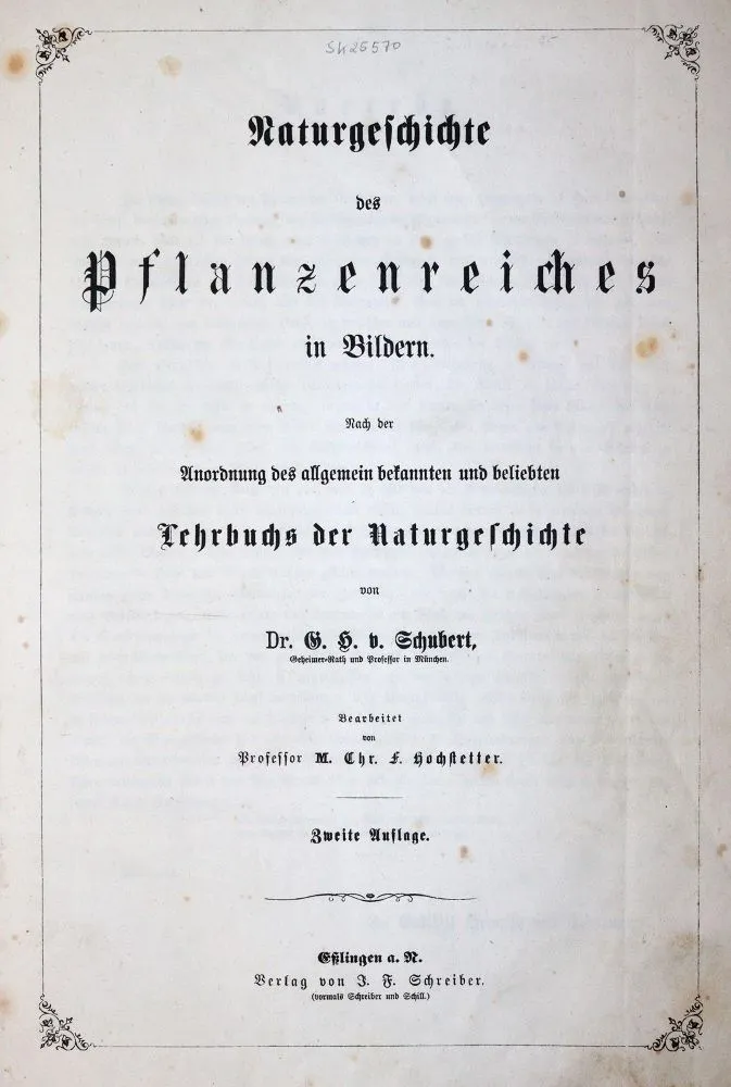 Schubert,G.H.v. – Historia naturalna królestwa roślin w obrazach..