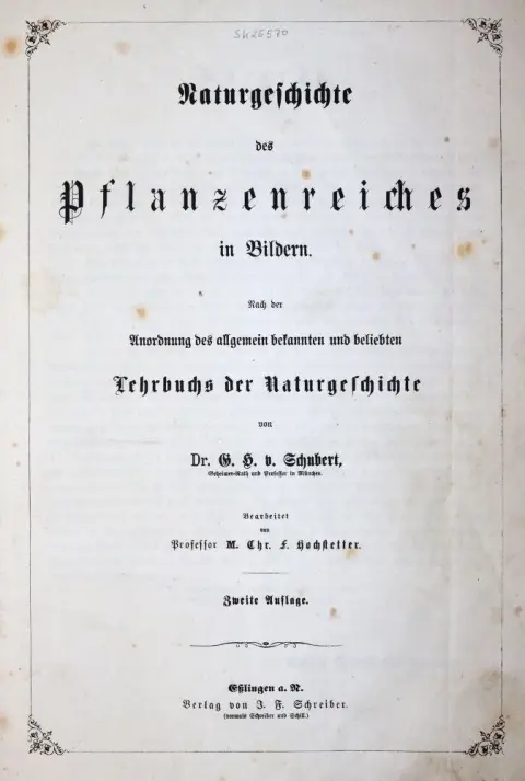Schubert,G.H.v. – Naturgeschichte des Pflanzenreiches in Bildern..