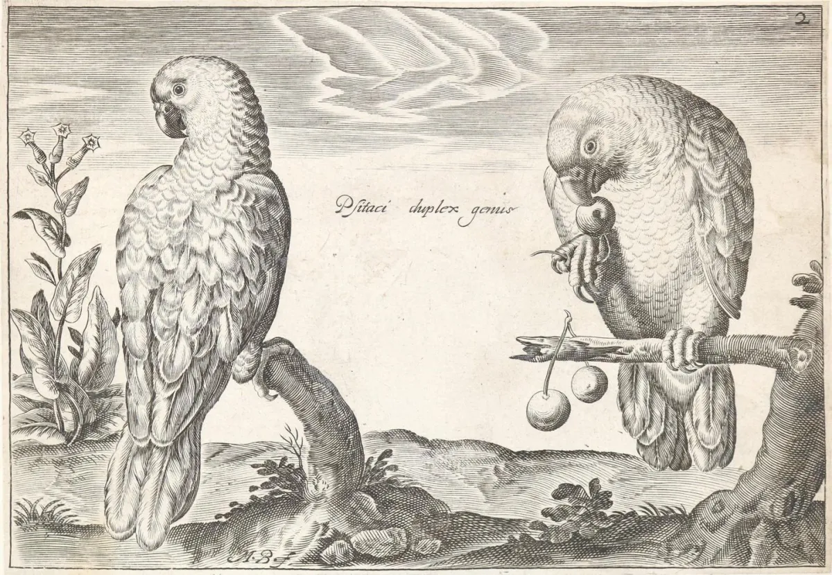 Briot, Marie. – (Oiseaux, Paris), P.Mariette s.d., 2