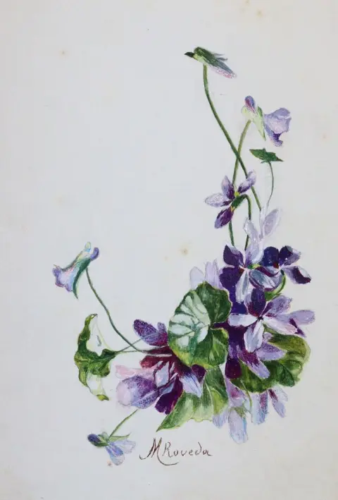 Stammbuch: by Marsia Boveda, 1908 - 1926