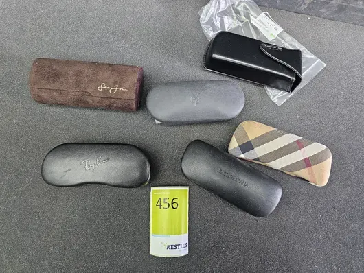 Brillen Etuis Burberry, D&G usw.