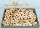 Krippenfiguren, ca. 50 Stück – Holz, H= 3-6 cm, meist Gänse, Hähne und Hühner;