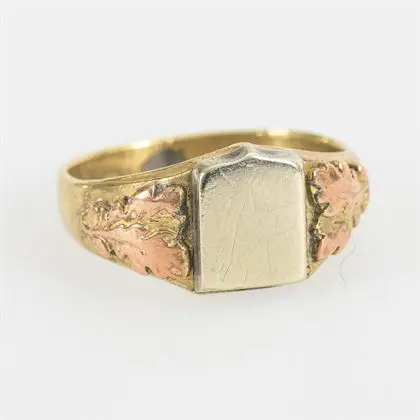 Ring met wapenschildcartouche voor gravures en eikenbladdécor