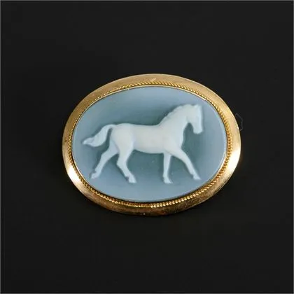 Broche met agaat camee