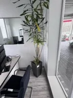 1 кашпо