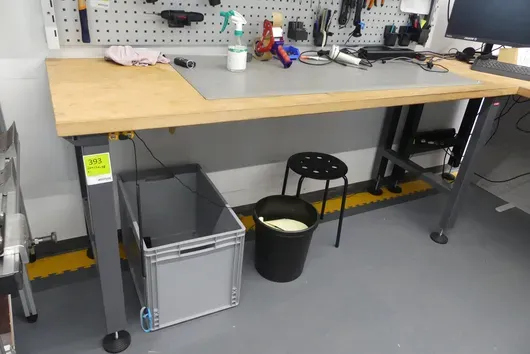 Stier - Arbeitstisch