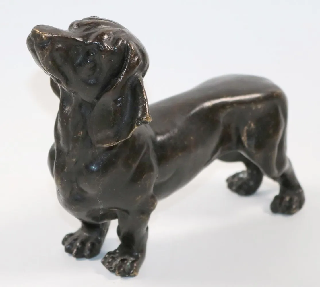 Dachshund en bronze. Figurine naturaliste en bronze d'un teckel