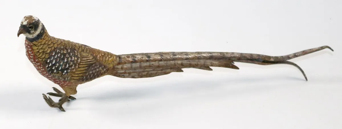 Pheasant, Viennese bronze. – Large pheasant with long tail feathers