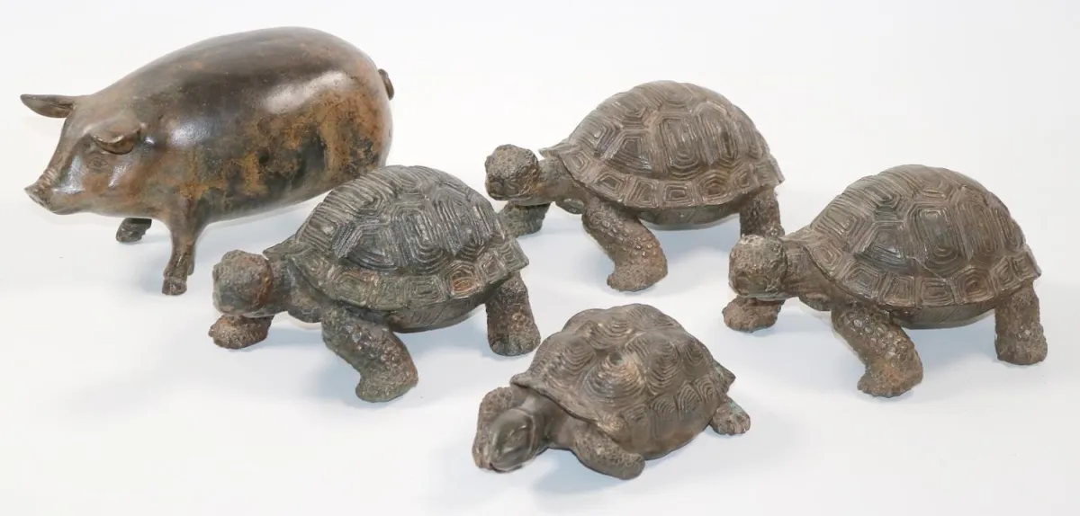Tortues et un cochon