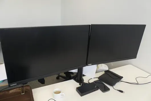 2x LENOVO ThinkVision monitors (without stand)