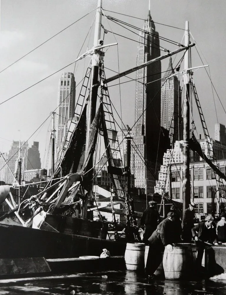 Feininger, Andreas – (1906 Paříž - New York 1999)