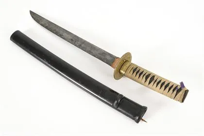 Wakizashi