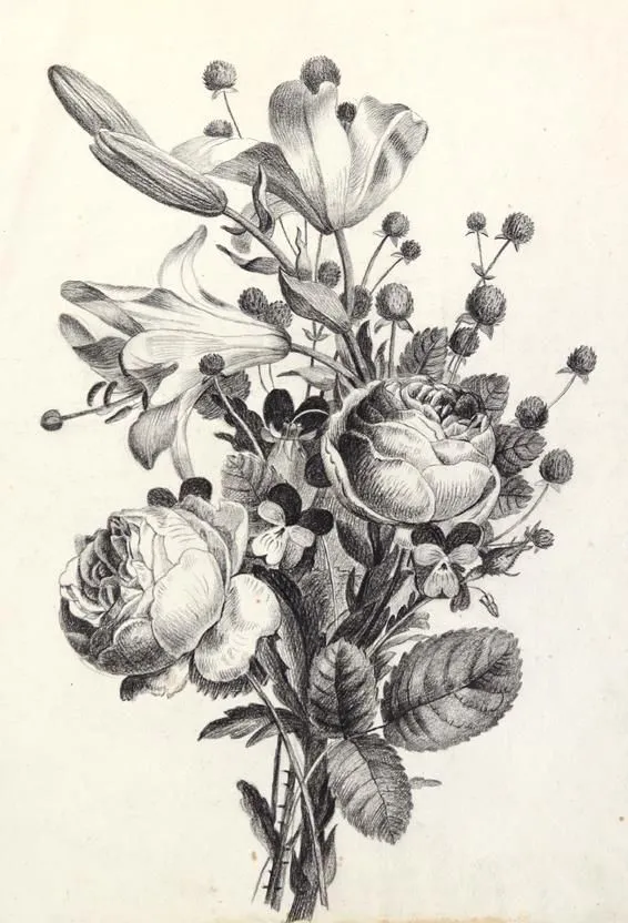 Rosen – u