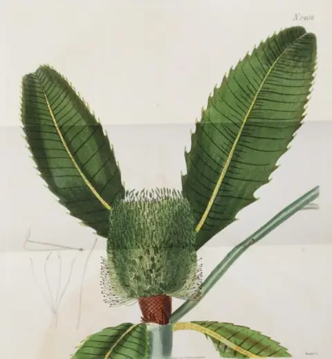 Sammlung – von 63 Bl