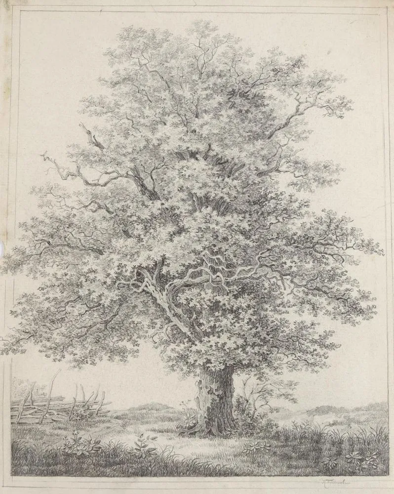 Schnizlein, Karl Friedrich – (1780 - 1856), probably